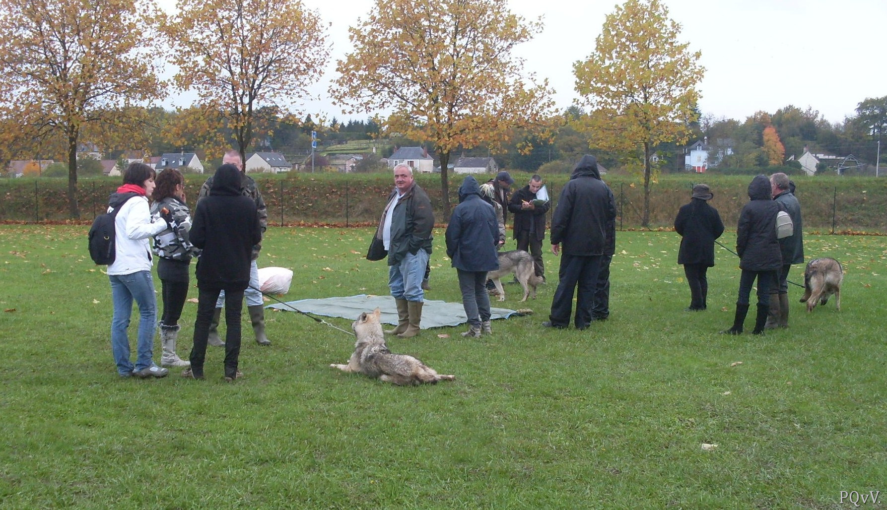  Test charactère Saarloos